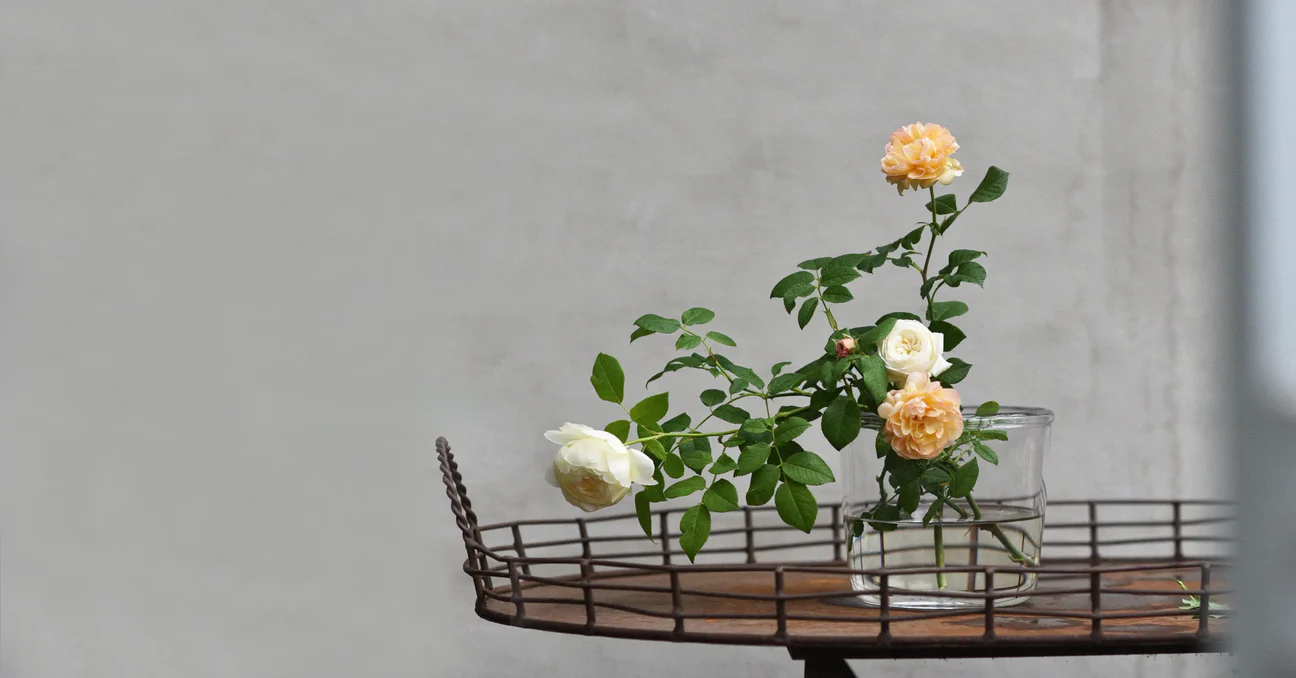 Skapa din drömträdgård med Zetas