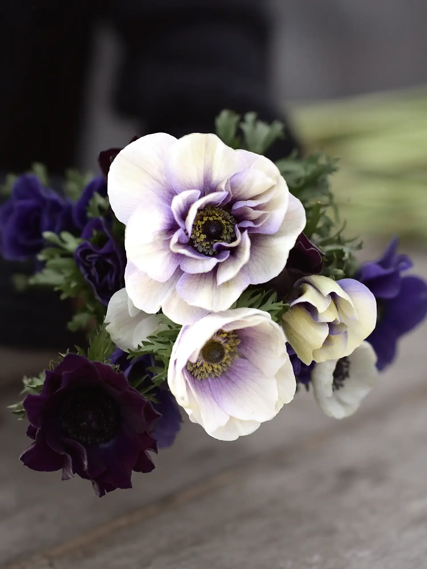 Säsongens populäraste